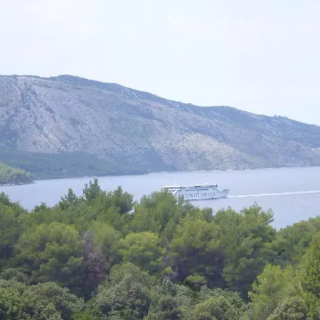 With A Swimming Pool Stari Grad, Hvar - 22629 公寓 斯塔里格勒