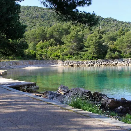 With A Swimming Pool Stari Grad, Hvar - 22629 דירה