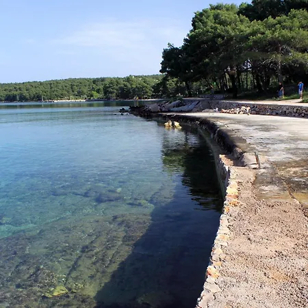 With A Swimming Pool Stari Grad, Hvar - 22629 公寓